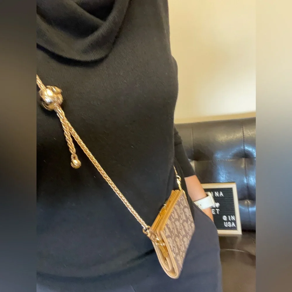 DIOR canvas wallet on chain